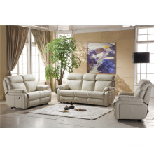 Living Room Genuine Leather Sofa Recliner (D841)